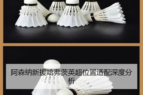 a-sen-na-xin-yuan-ha-fu-ci-ying-chao-wei-zhi-shi-pei-shen-du-fen-xi-2-135.jpg